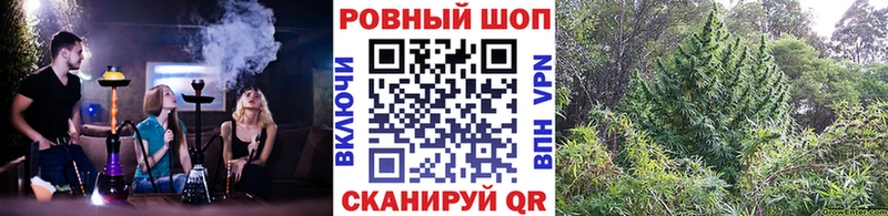Где продают наркотики Трубчевск COCAIN СК ГАШИШ Амфетамин Псилоцибиновые грибы МАРИХУАНА Мефедрон