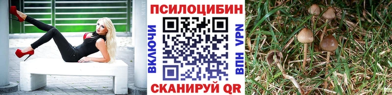 Галлюциногенные грибы GOLDEN TEACHER  Трубчевск 